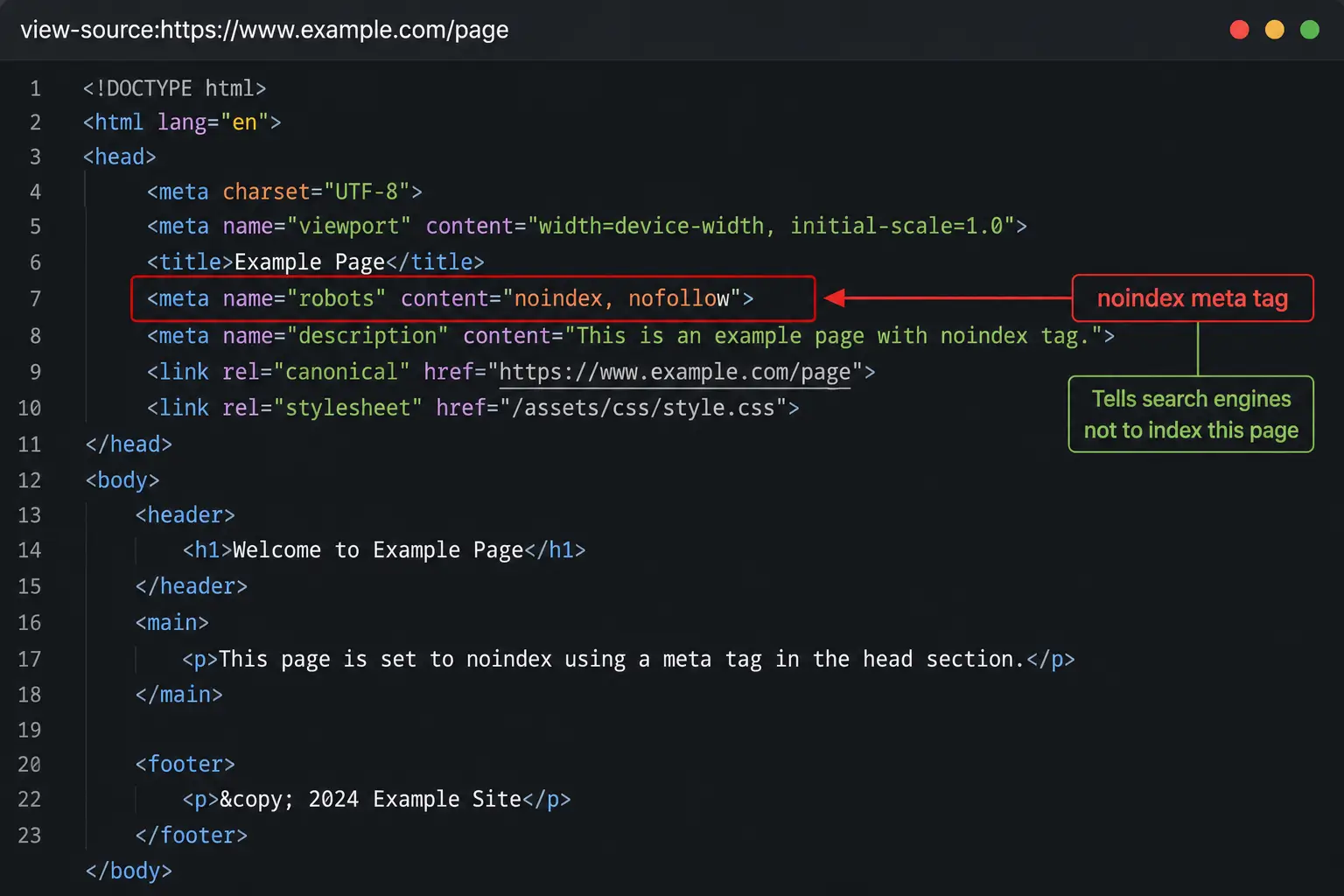 noindex meta tag-html source